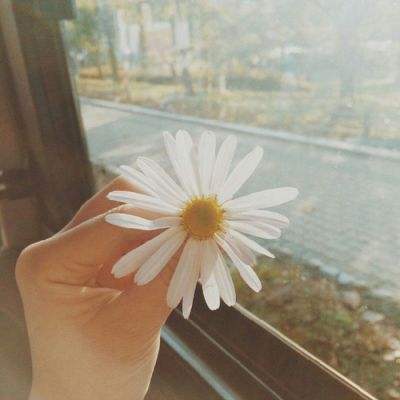 关于“开云电竞APP”